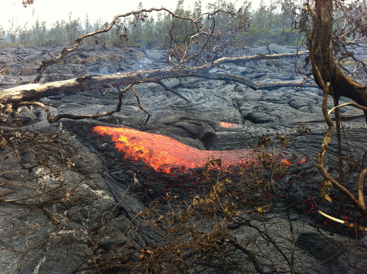 Breakout of pāhoehoe lava downslope of the house that burned on November 10. The USGS HVO photo is looking northwest.