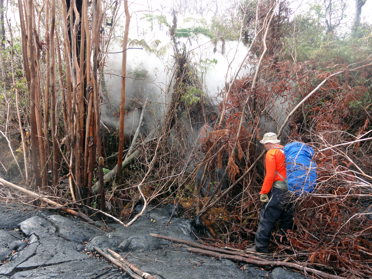 This USGS photo shows an HVO geologist examining a ground crack into which lava was pouring near the flow margin, producing large amounts of steam. (Nov. 20)