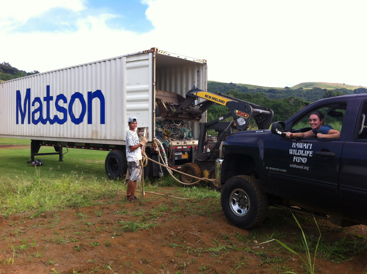 From the Hawaii Wildlife Fund: "Ryan Levita and Stacey Breining (with HWF) hard at work during the net loading with the JD Services, LLC. skidsteer and operator in the backdrop."