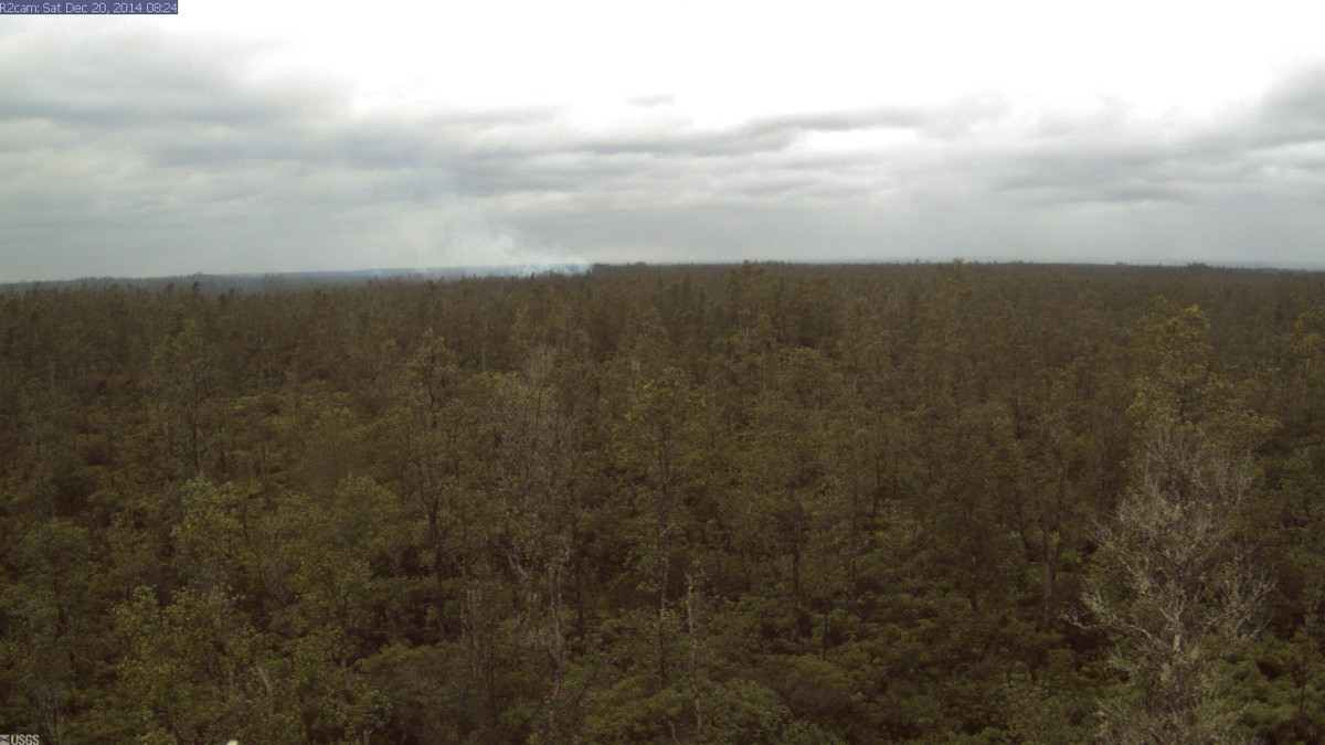 USGS webcam (8:24 a.m. HST) shows the June 27th Flow from Pāhoa Marketplace looking mauka or upslope. Smoke can be seen as the lava burns vegetation.