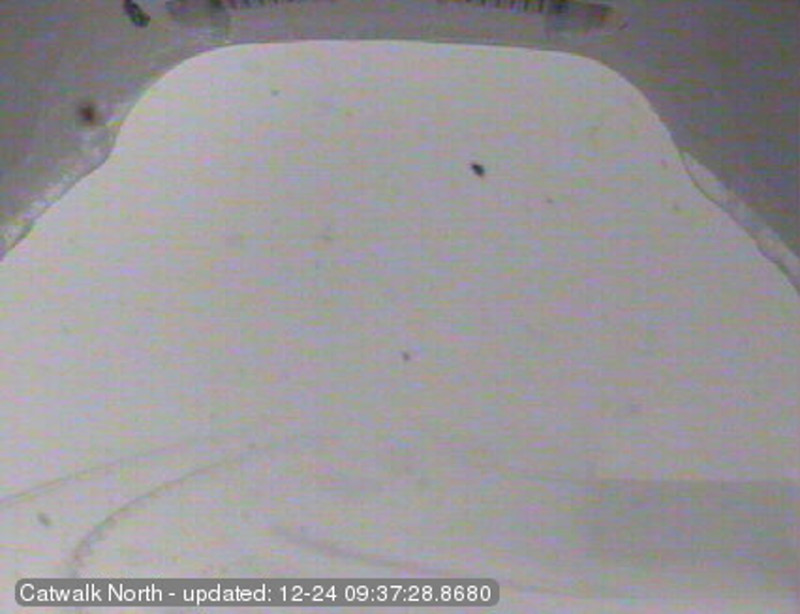 Image courtesy the Subaru Cat Walk webcam, which is aimed north