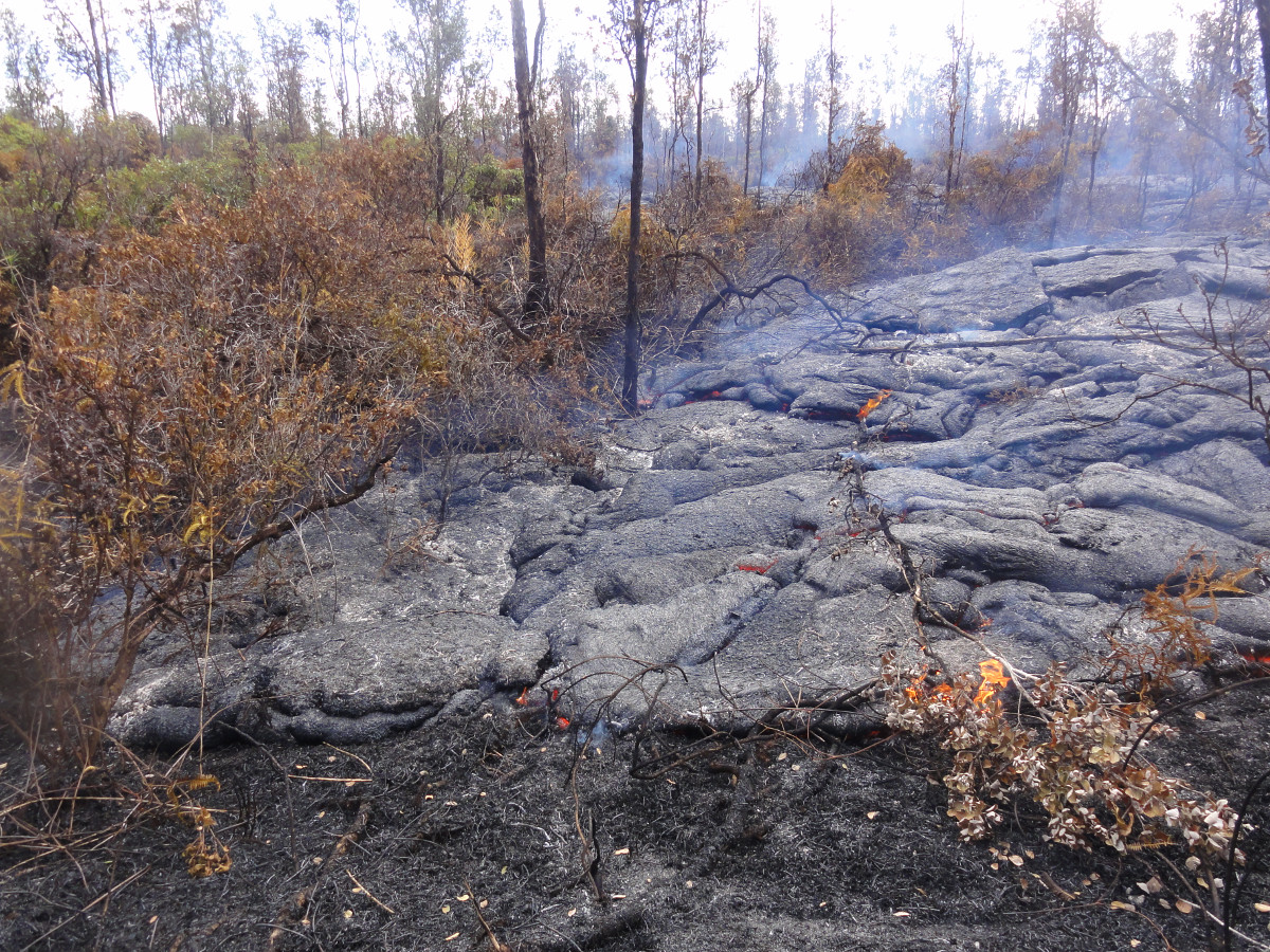 (USGS HVO photo on Jan. 21) Only a handful of small breakouts were active along the leading tip of the flow.