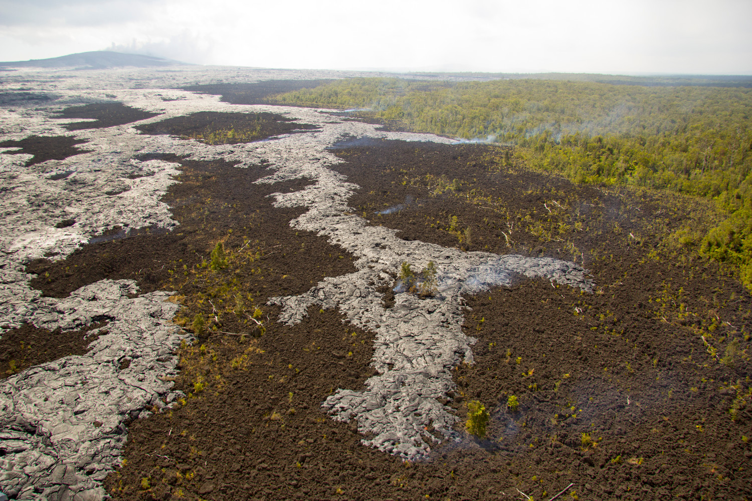 Wide view of the breakout 2 miles from Pu'u O'o, by USGS HVO.