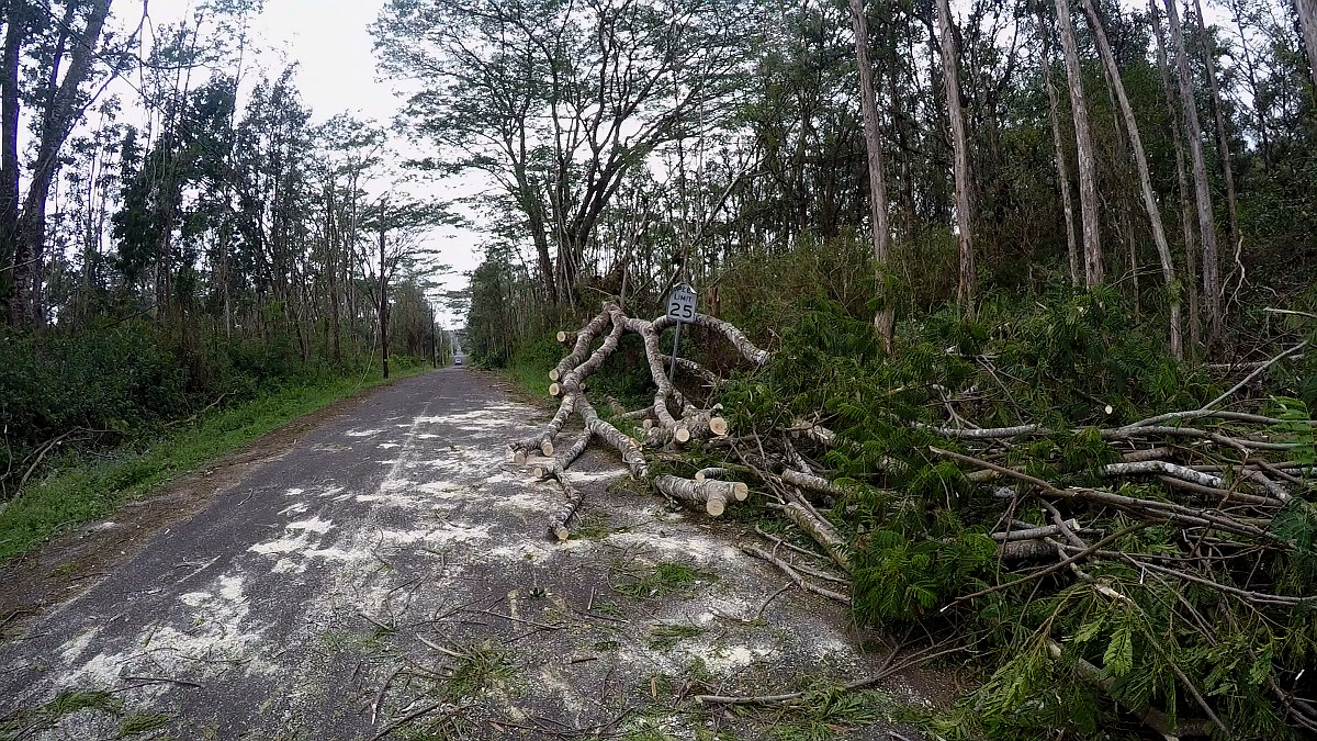 Fallen trees are pushed to the side of the road in Leilani Estates