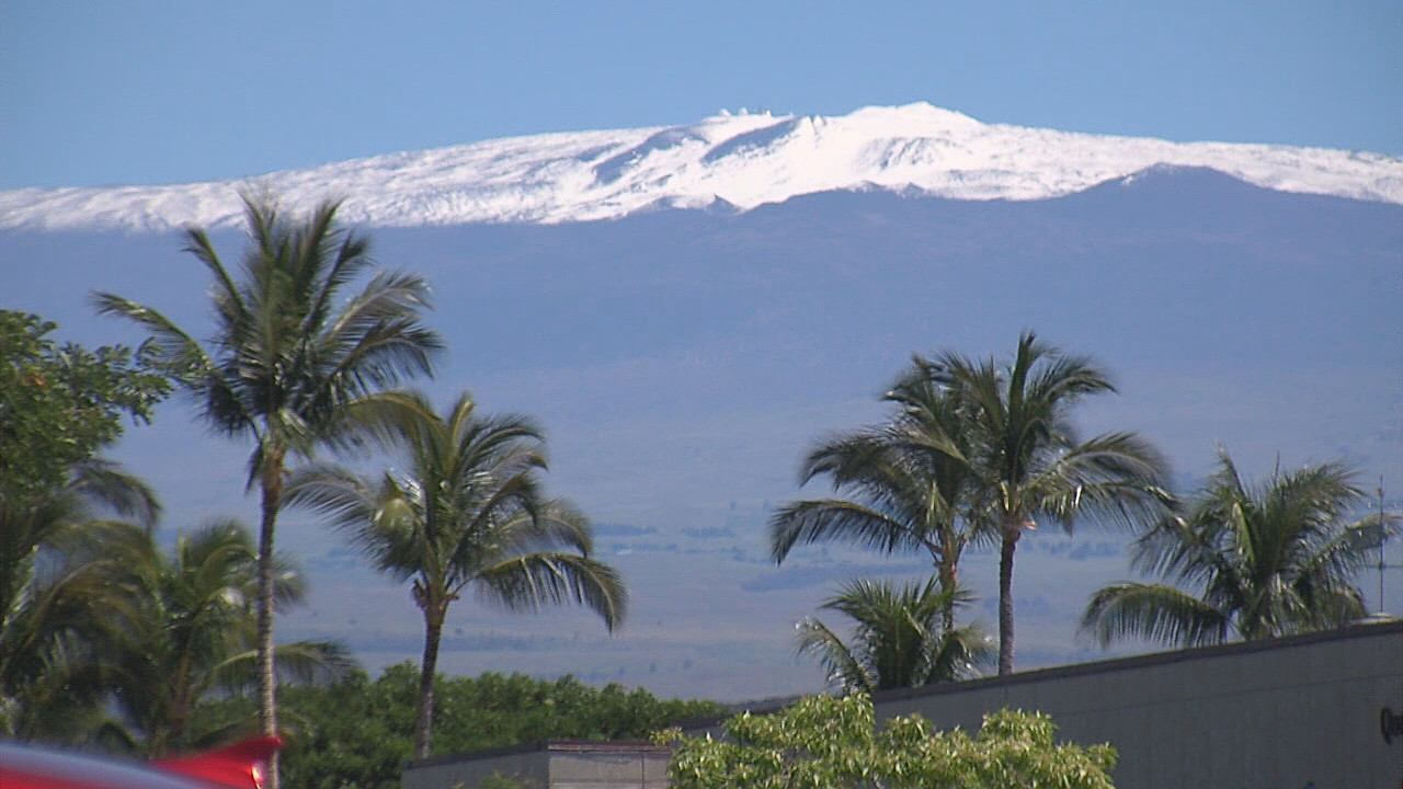 The view of Mauna Kea behind palm trees in Waikoloa on Saturday.