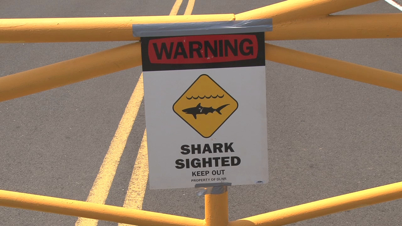 March 18, 2015: Signs posted warn of sharks at Hapuna. Image taken from video by Visionary Video.