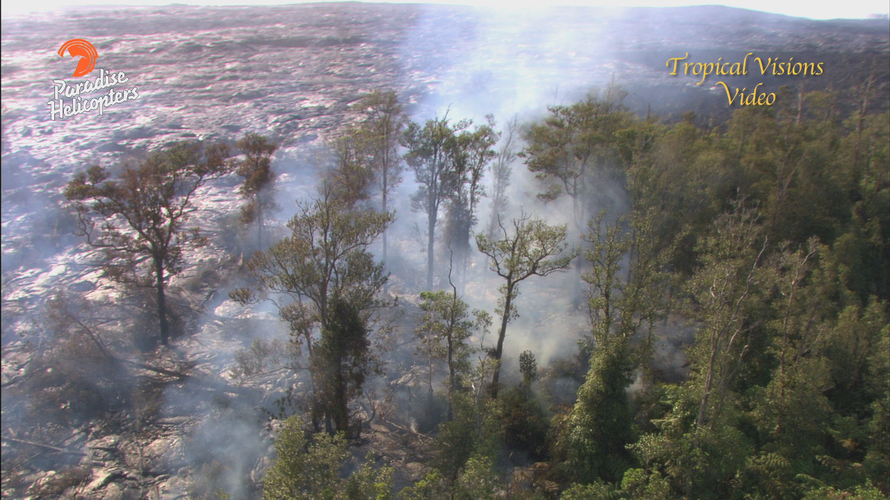 March 19, 2015: Image from video taken during a lava overflight by Mick Kalber.