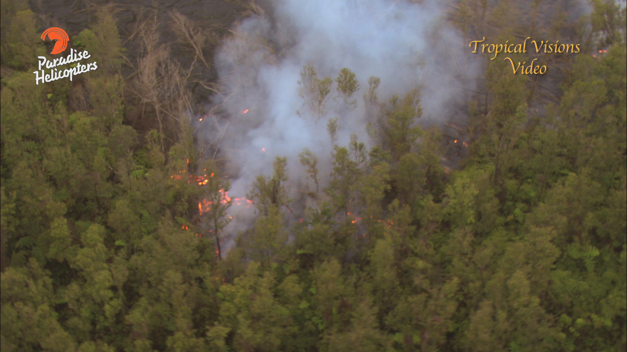 The June 27th lava flow burns through forest. Image from video by Mick Kalber.