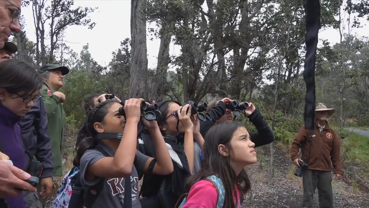 Image taken from a National Park Service video promoting the BioBlitz event.