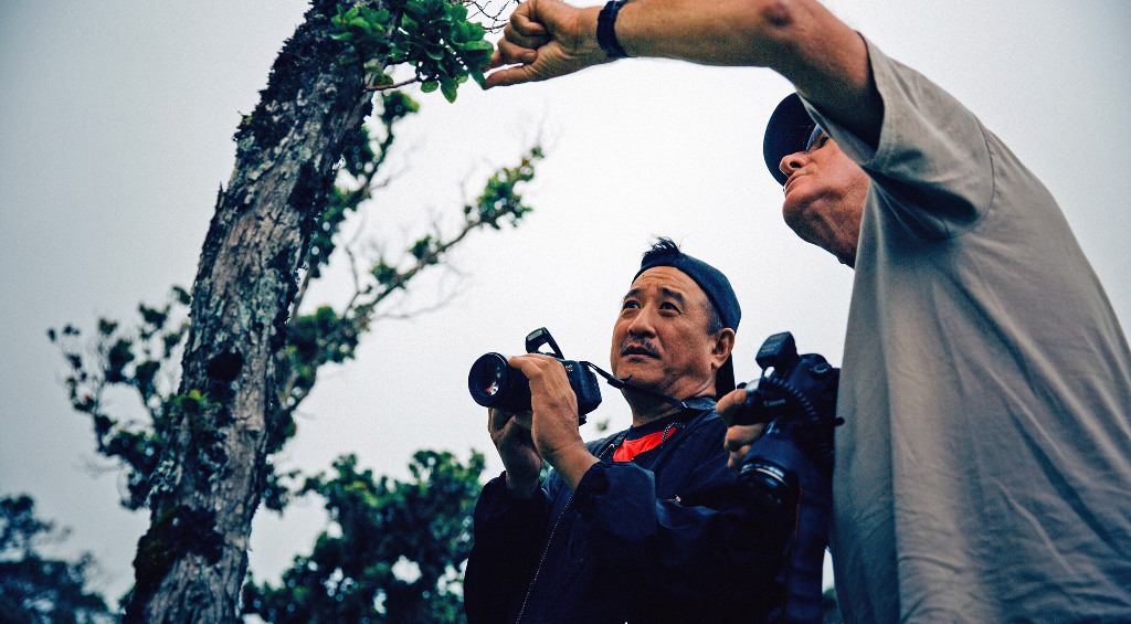 Photographers-in-residence Nate Yuen (left) and Jack Jeffrey examine a kahuli tree snail on an ʻōhiʻa tree during the project team’s first shoot together on Kohala Mountain. (Photo © Andrew Richard Hara)