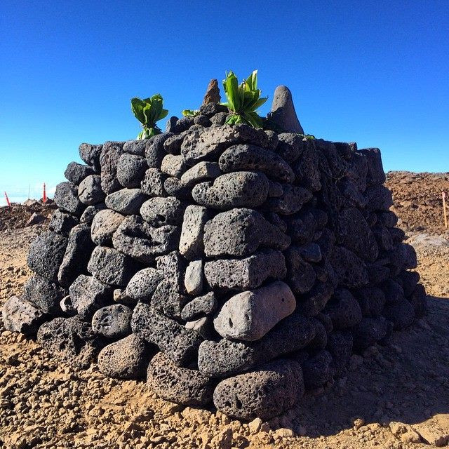 The first ahu built near the TMT site on Mauna Kea, photo by Ku'uipo Freitas on June 22, 2015.