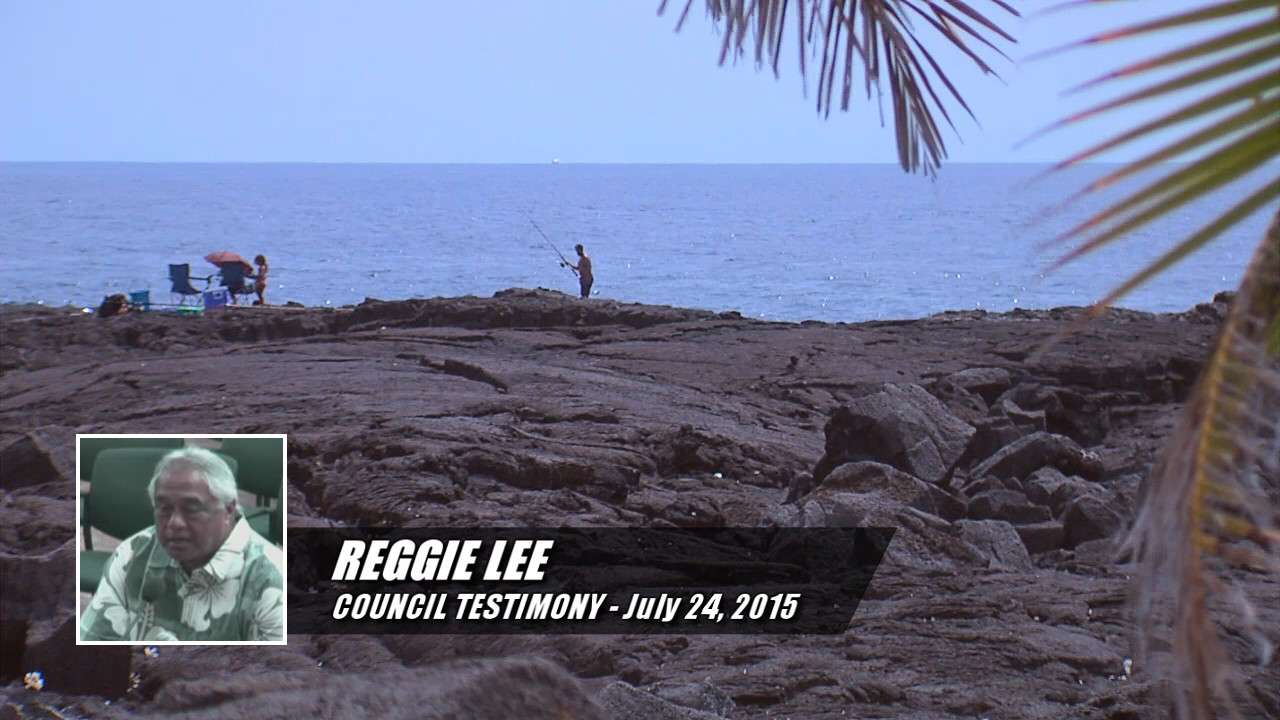 Reggie Lee testifies during the Hawaii County Council meeting in Kealakehe on July 24, 2015