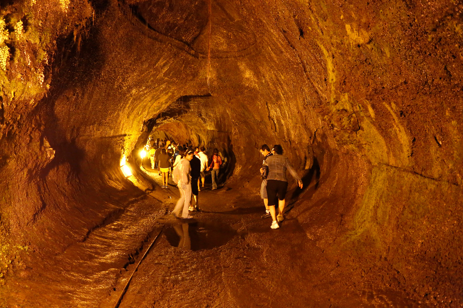 (NPS Photos/Michael Szoenyi) Thurston Lava Tube