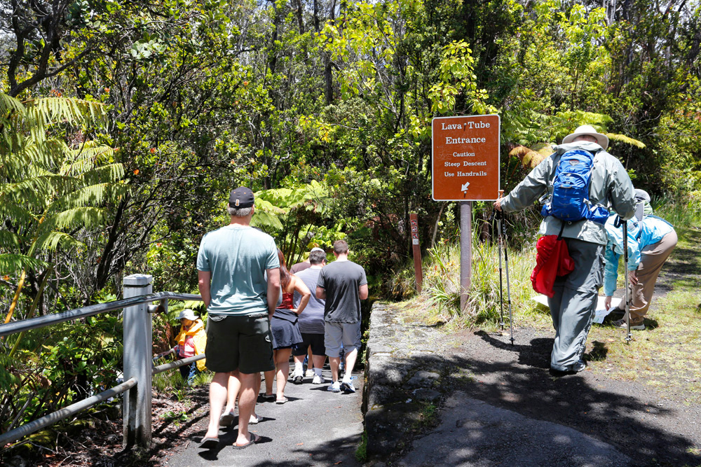 (NPS Photos/Michael Szoenyi) The entrance trail, pictured, will serve as both exit and entry into Thurston Lava Tube during the temporary exit route closure.  
