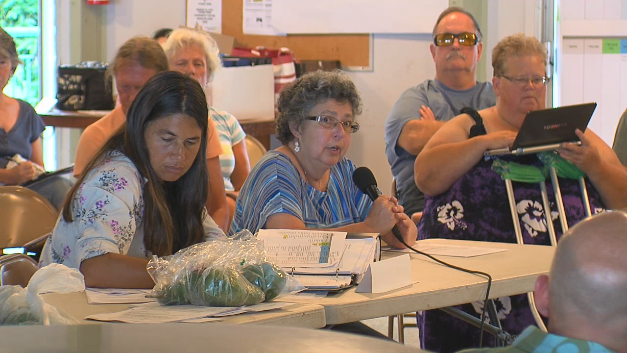 VIDEO: Hawaiian Ocean View Sounds Off On Solar Project