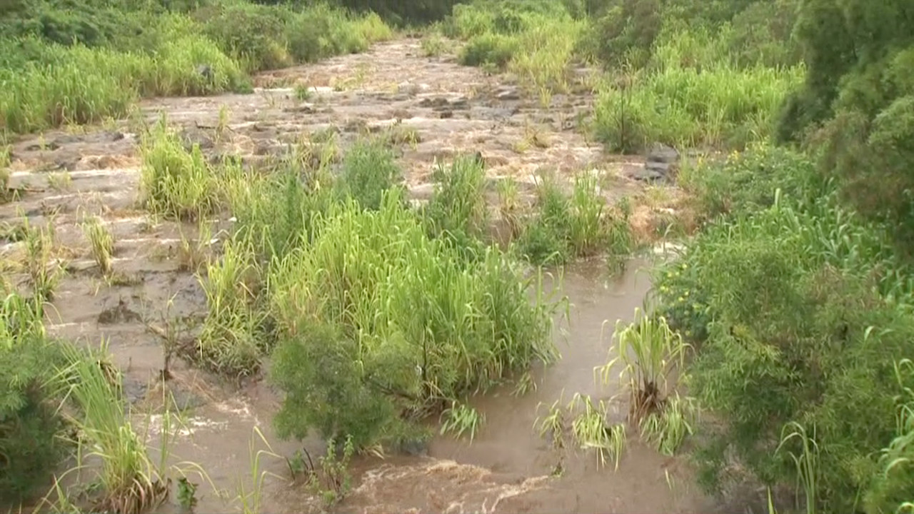 Tim Bryan captured video of the normally dry stream beds at the Pahala town junction in Ka'u rushing to life on Monday. This was shortly before flooding closed Highway 11.