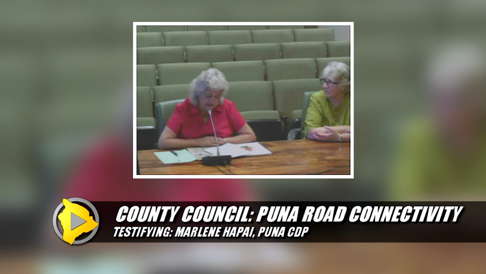 VIDEO: Ad Hoc Committee On Puna Road Connectivity