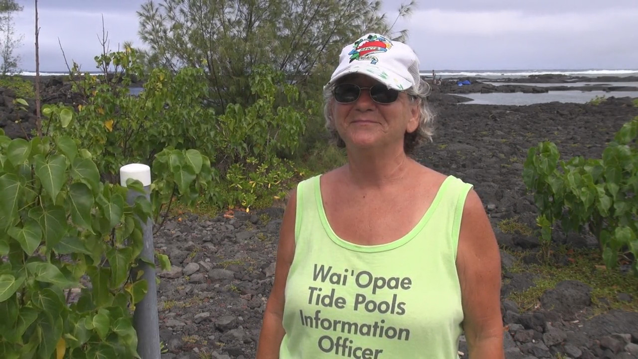 Nadean Rutledge at the Kapoho Tide Pools on August 10, 2013. Image from video courtesy Daryl Lee.