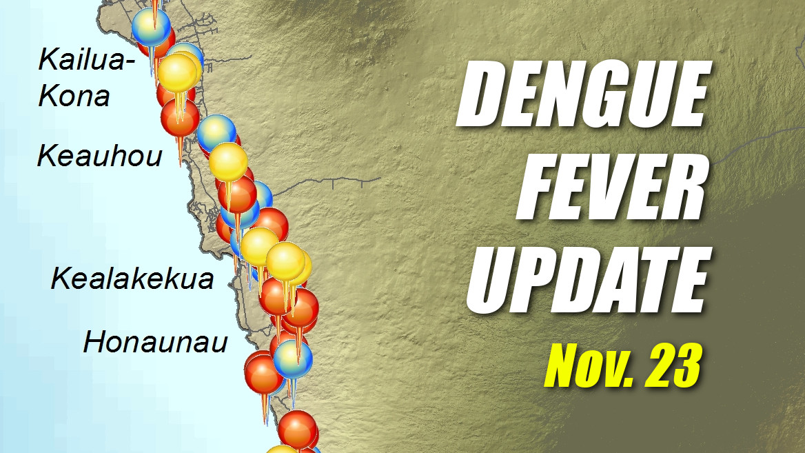 2015-11-23dengue