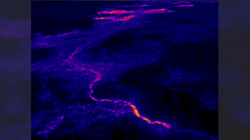 (USGS) The trace of the new lava tube is easily visible in the thermal images. This view looks northeast, and the breakouts along the forest boundary are visible near the top edge of the photograph.