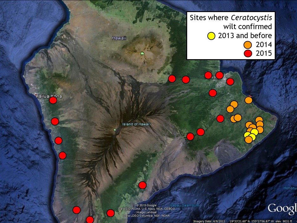 Sites where Ceratocystis wilt (Rapid Ohia Death) has been confirmed as of Dece,ber 23, 2015. Map produced by University of Hawaiʻi College of Tropical Agriculture and Human Resources.
