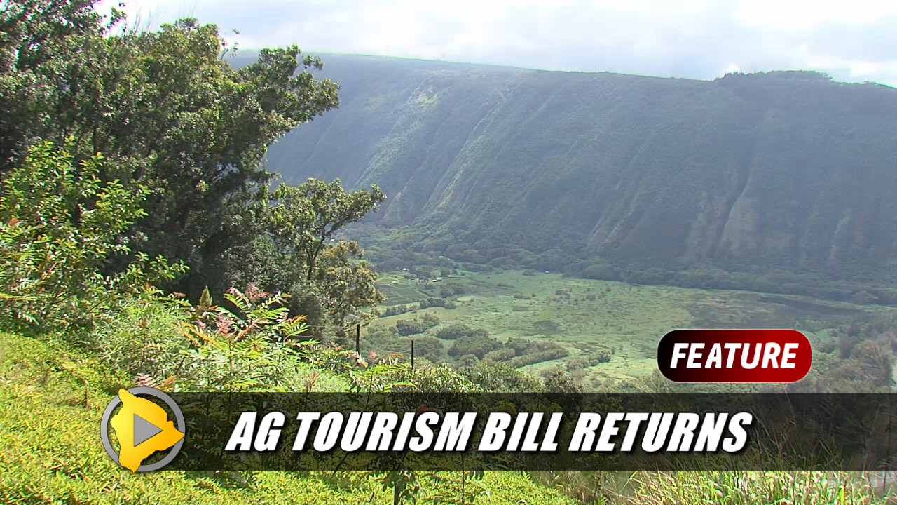 VIDEO: Hawaii Council Takes On Ag Tourism, Again