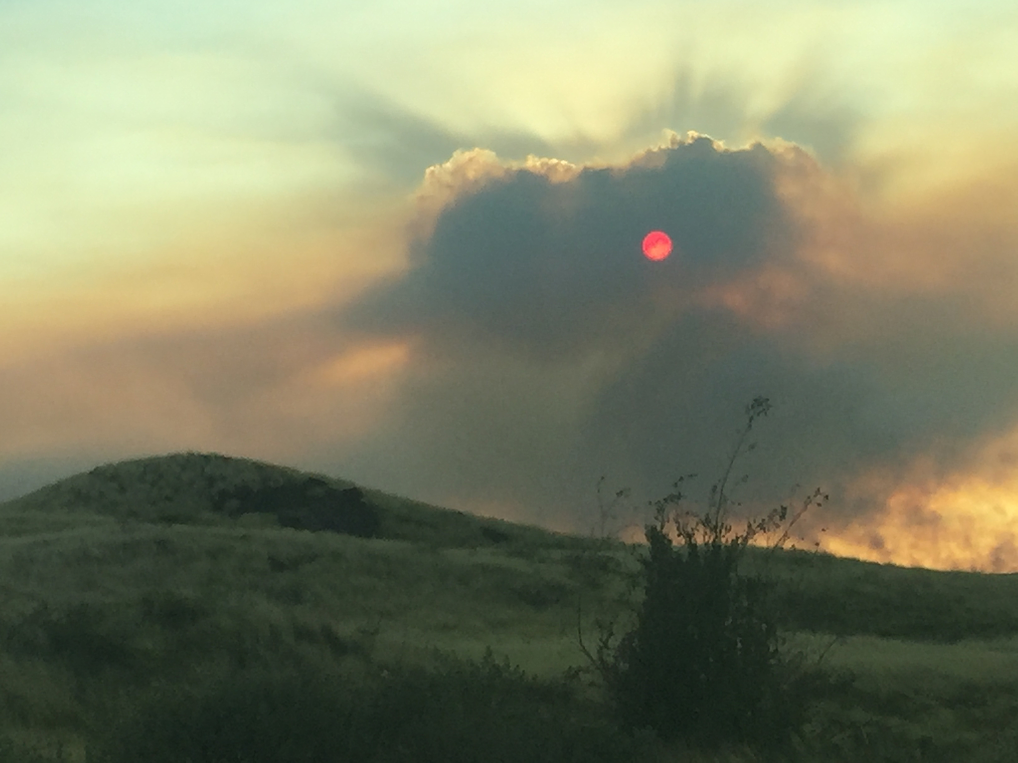 Towering smoke from the brushfire on Thursday blots out the sun. 