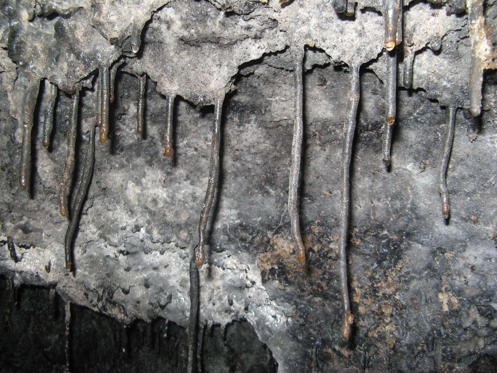 Lava stalactites in Puapo‘o lava tube (NPS Photo/Stephen Geiger )​