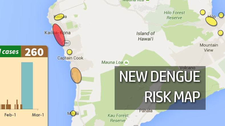 Inset of the Feb. 24 dengue fever risk map by DOH, full map below.