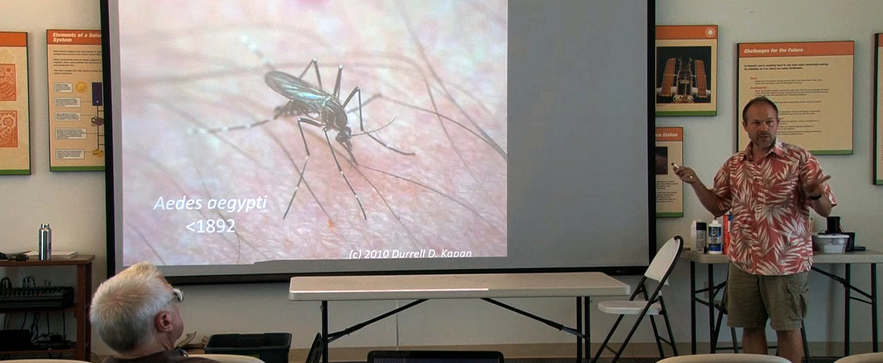 VIDEO: Know Your Mosquitoes And How To Trap Them