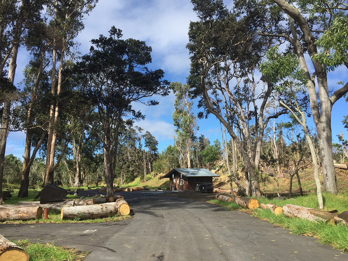 The road to tent camping sites and pavilion, photo by NPS.