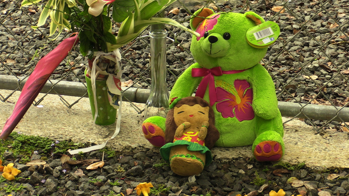 A teddy bear and other items form a makeshift memorial at the scene of the killings in Leilani Estates. Photo by Daryl Lee.