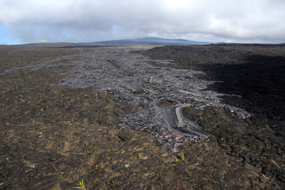 A look at the flow that erupted from the lower east flank of Puʻu ʻŌʻō on May 24. This flow continues to advance southeast. (USGS HVO)