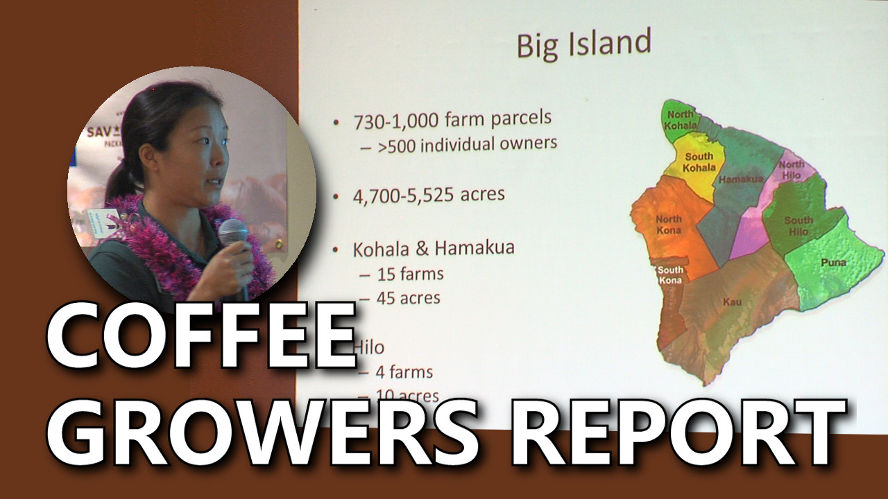 VIDEO: Hawaii Coffee Growers Report