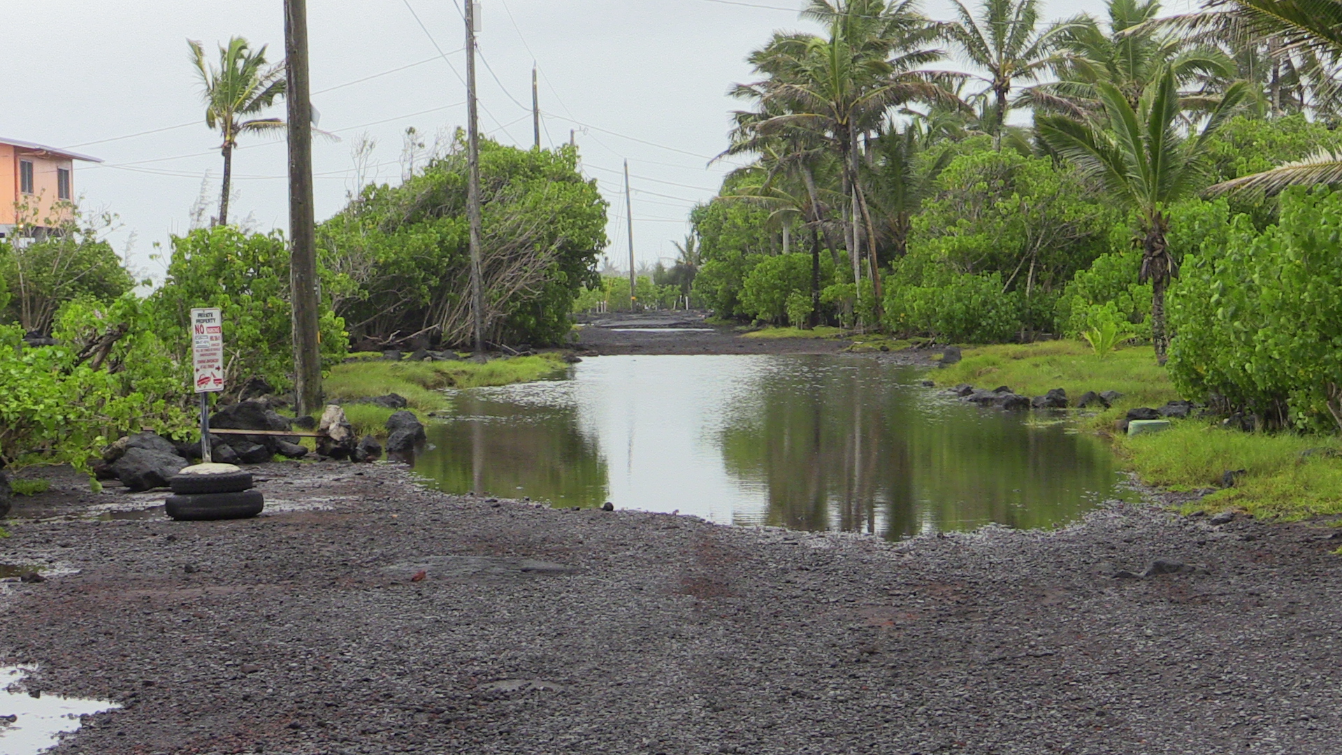 Some minor flooding seen in Kapoho this morning. Image by Daryl Lee.