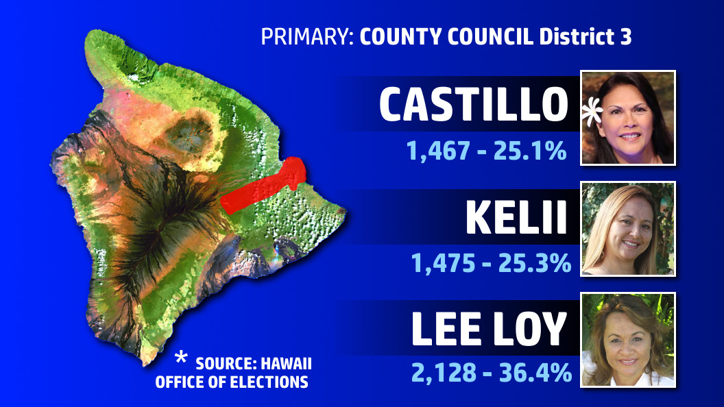 Final Election Results