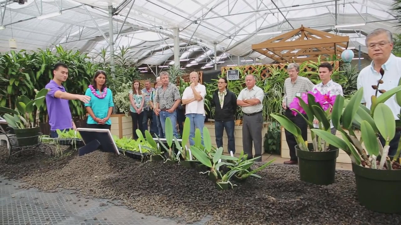 (courtesy Rep. Gabbard) Gabbard meets with Hawaiʻi Floriculture Nursery Association at Akatsuka Orchid Gardens.