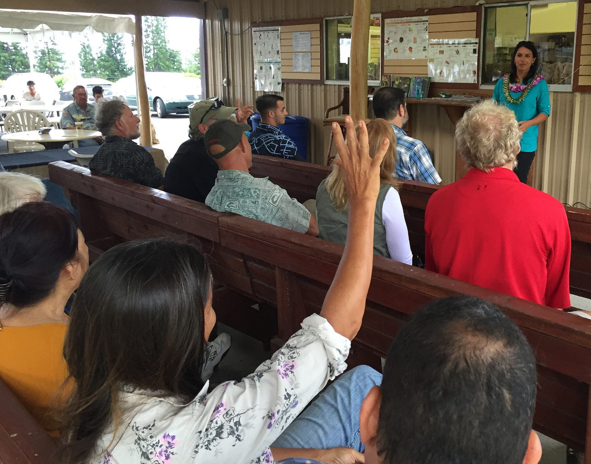 (courtesy Rep. Gabbard)  “Talk Story with Tulsi” at Kaʻu Coffee Mill and Macadamia Nut Farm