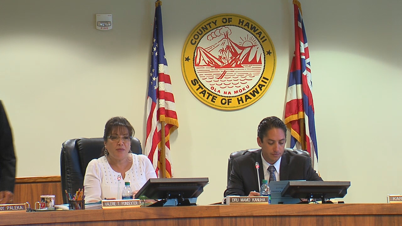 VIDEO: Hawaii County Council Supports CEDAW