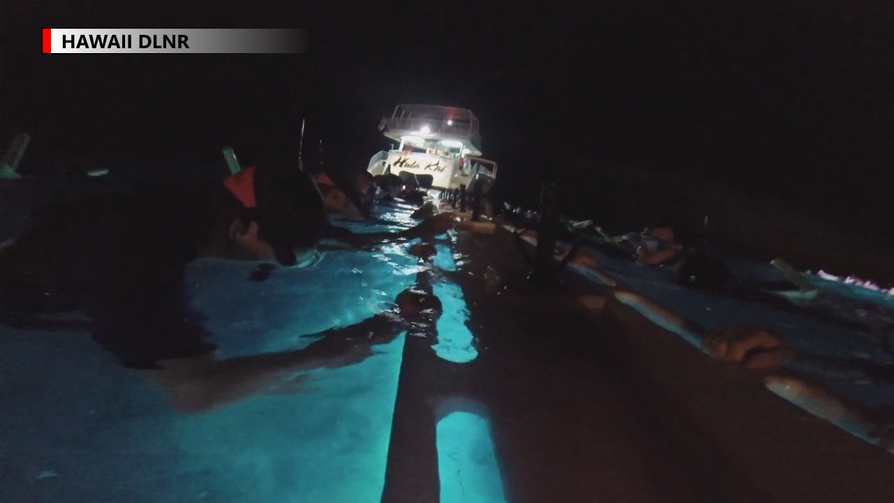 Manta Ray Viewing, image from video by Hawaii DLNR.