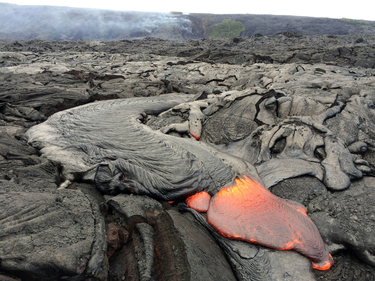 This USGS photo shows a typical lobe of pāhoehoe lava filling in a small depression on the coastal plain.