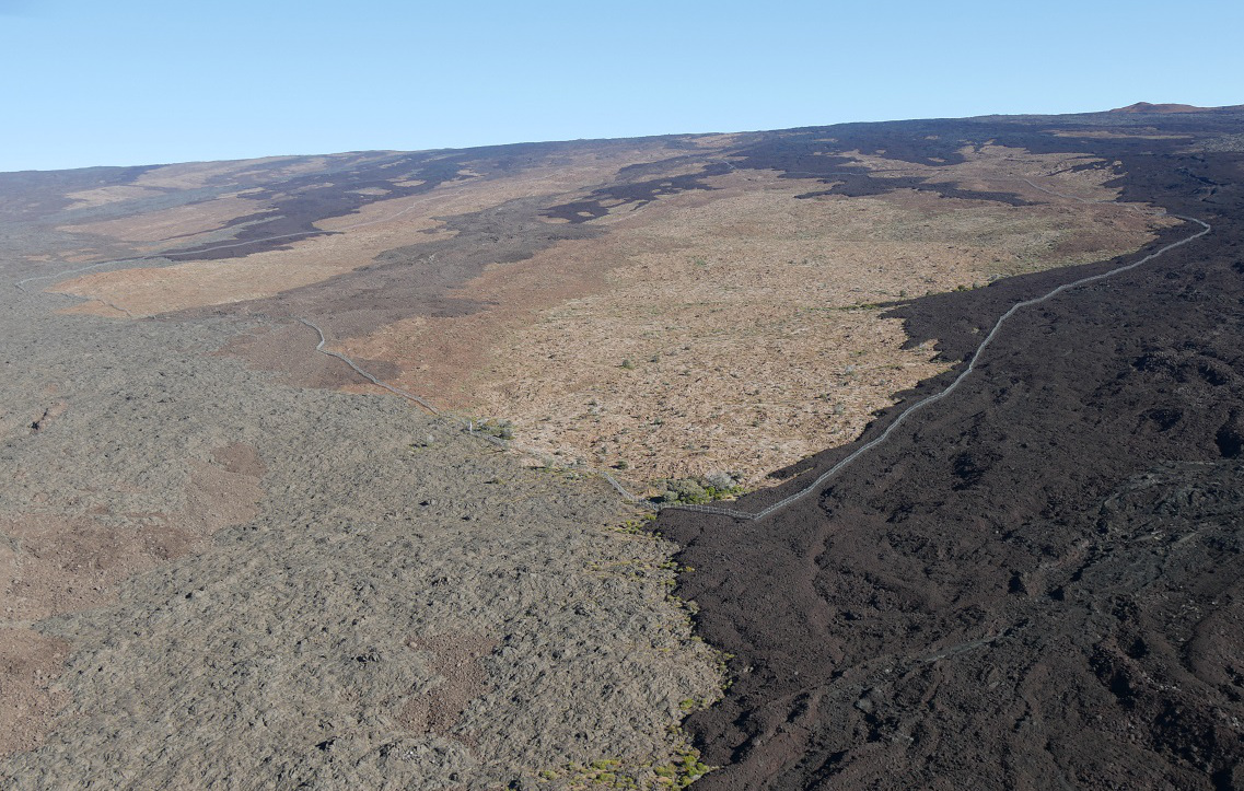 Cat-proof fence aerial/Courtesy of Scott Hall/NFWF