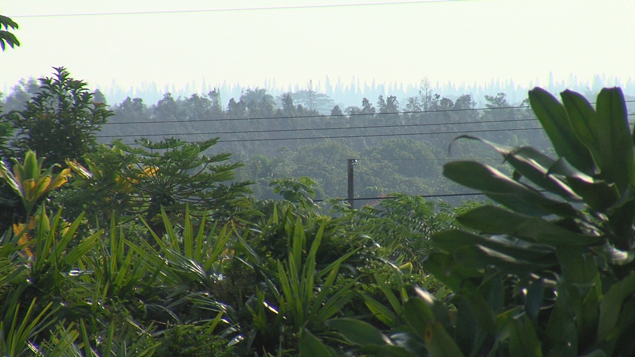 A hazy Hilo morning on November 11, 2016.