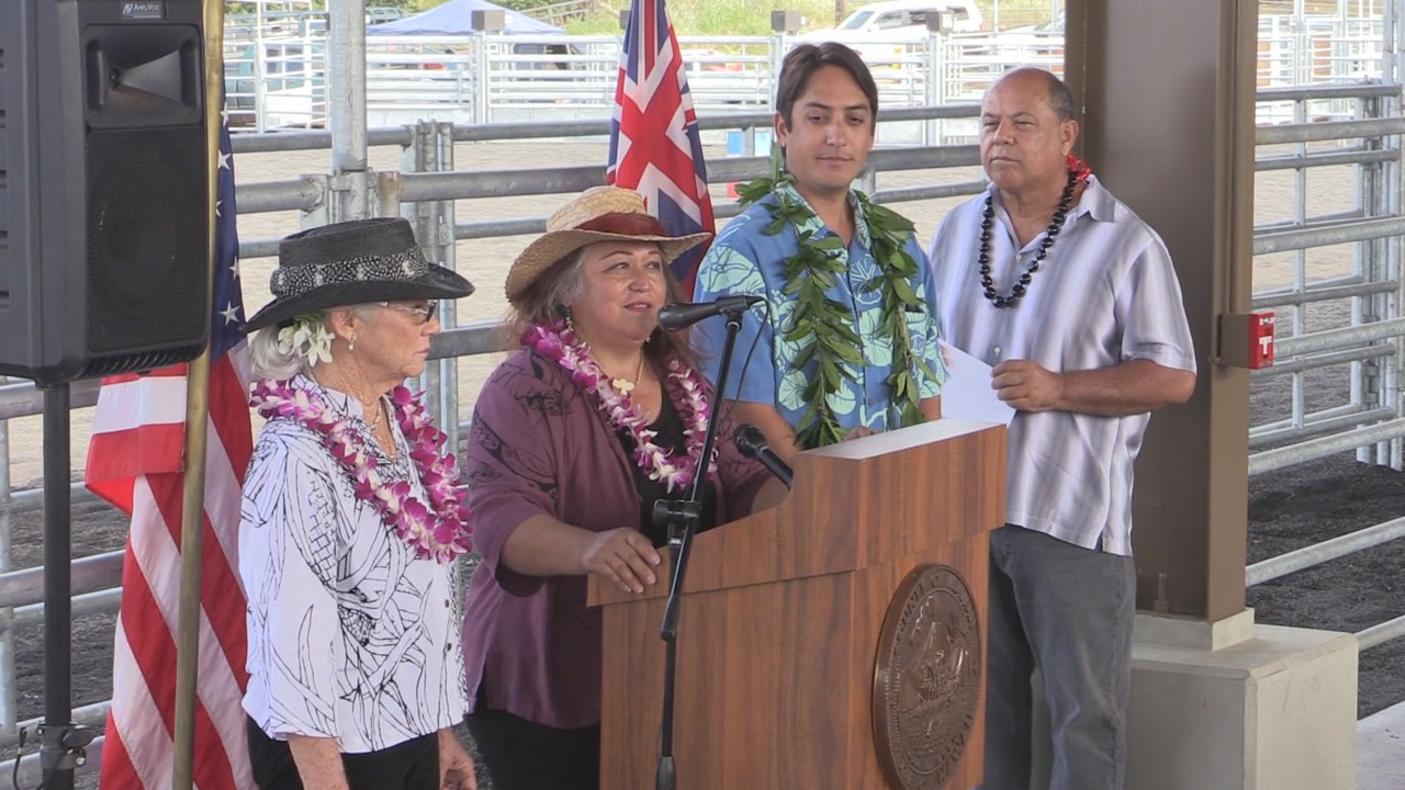 Councilwoman Maile David speaks. Courtesy County of Hawaii.