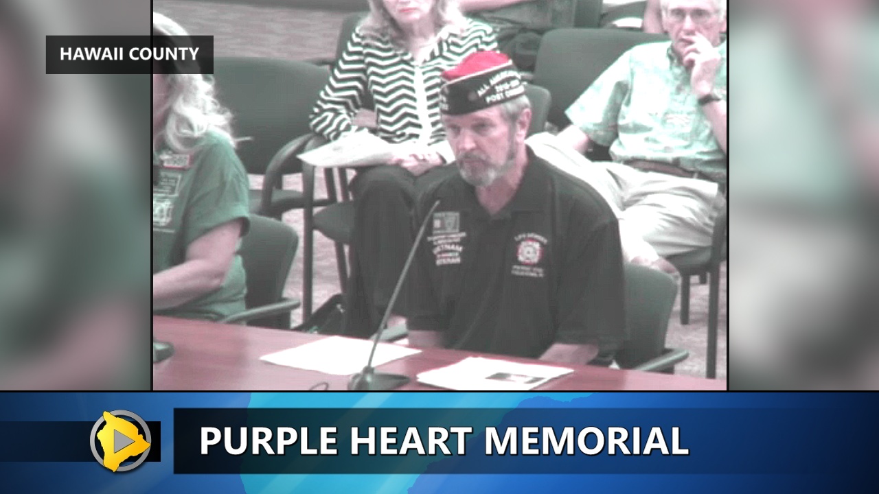 John Grogan, president of the West Hawaii Veterans' Cemetery Development and Expansion Association, testifies