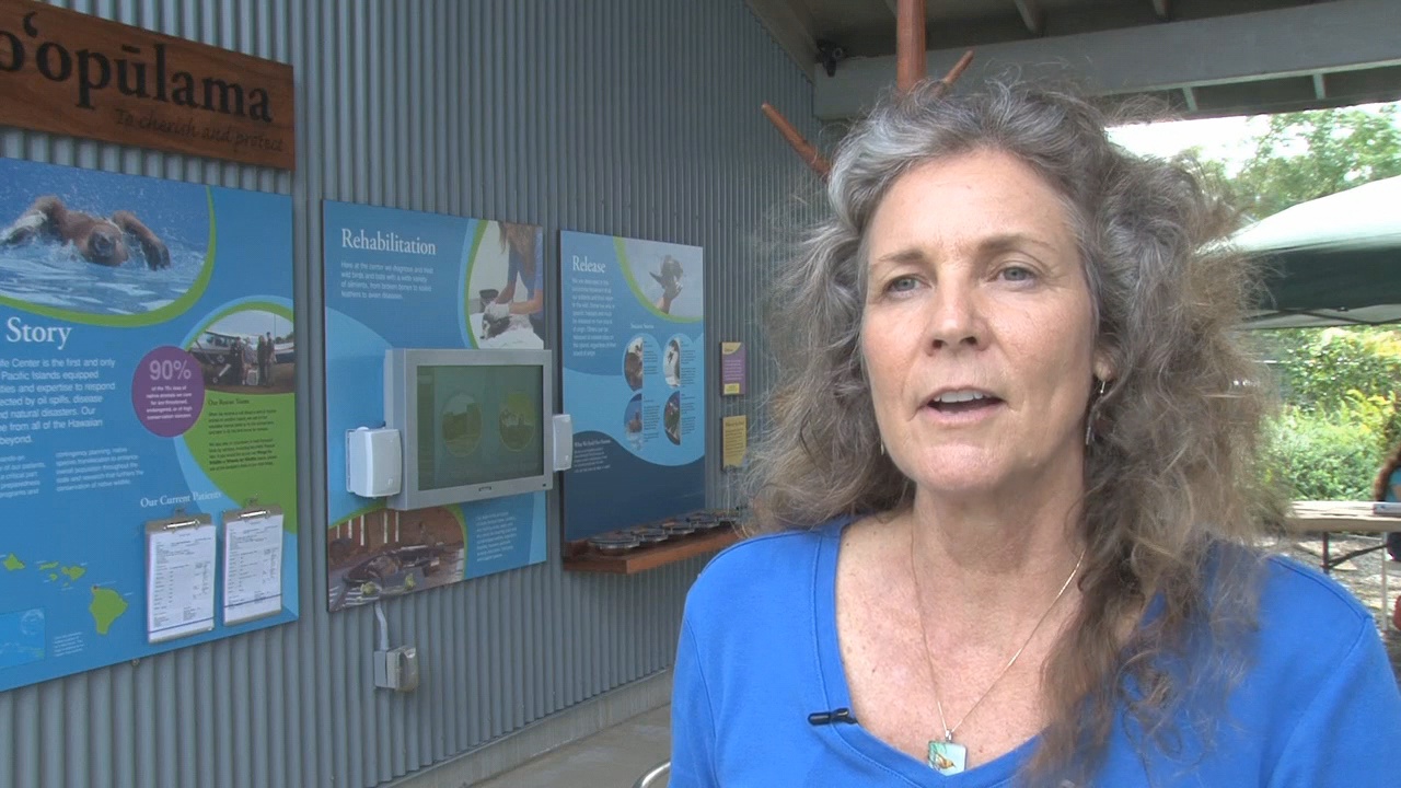 Linda Elliott, President and Center Director of the Hawai‘i Wildlife Center