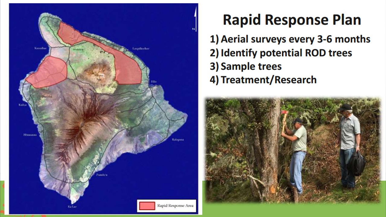 from DLNR presentation by Steven Bergfeld