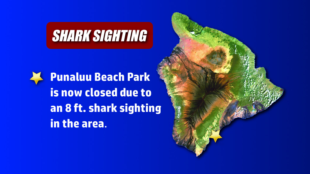 Shark Sighting Closes Punaluu Beach Park