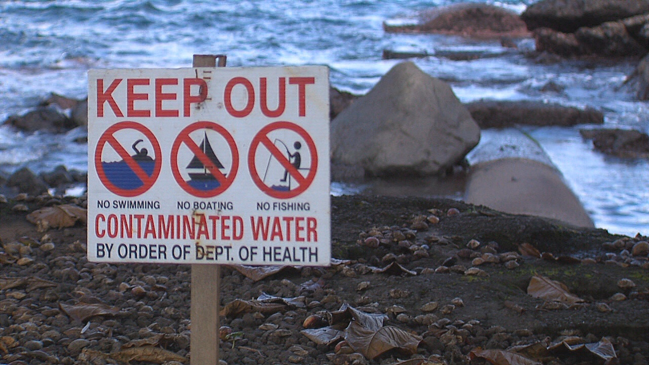 VIDEO Staphylococcus Study On Hawaii Island