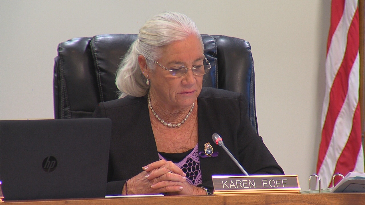 VIDEO Hawaii Water Supply Audit Request Approved By Council